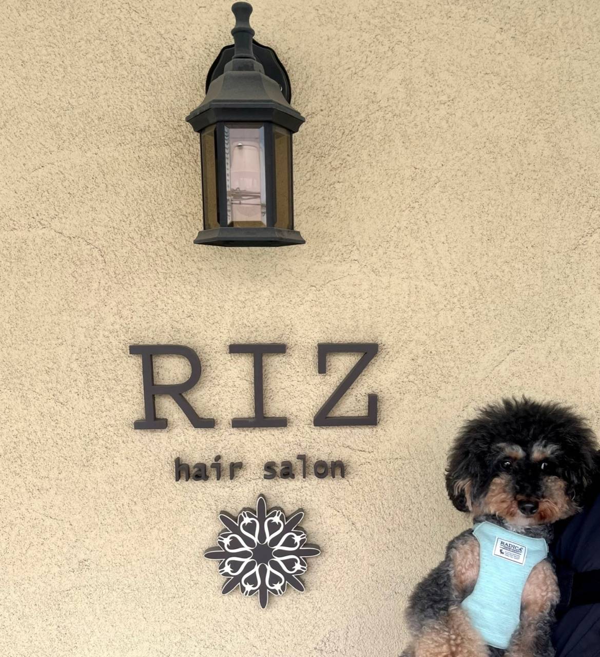 2022営業終了しました‼︎|三ノ宮の美容室 hairsalon RIZ